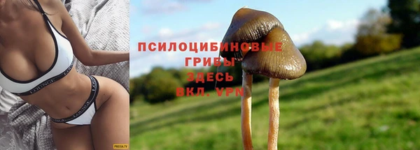 каннабис Богородск